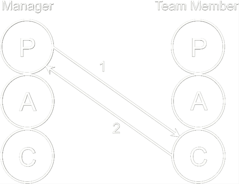 Parallel model